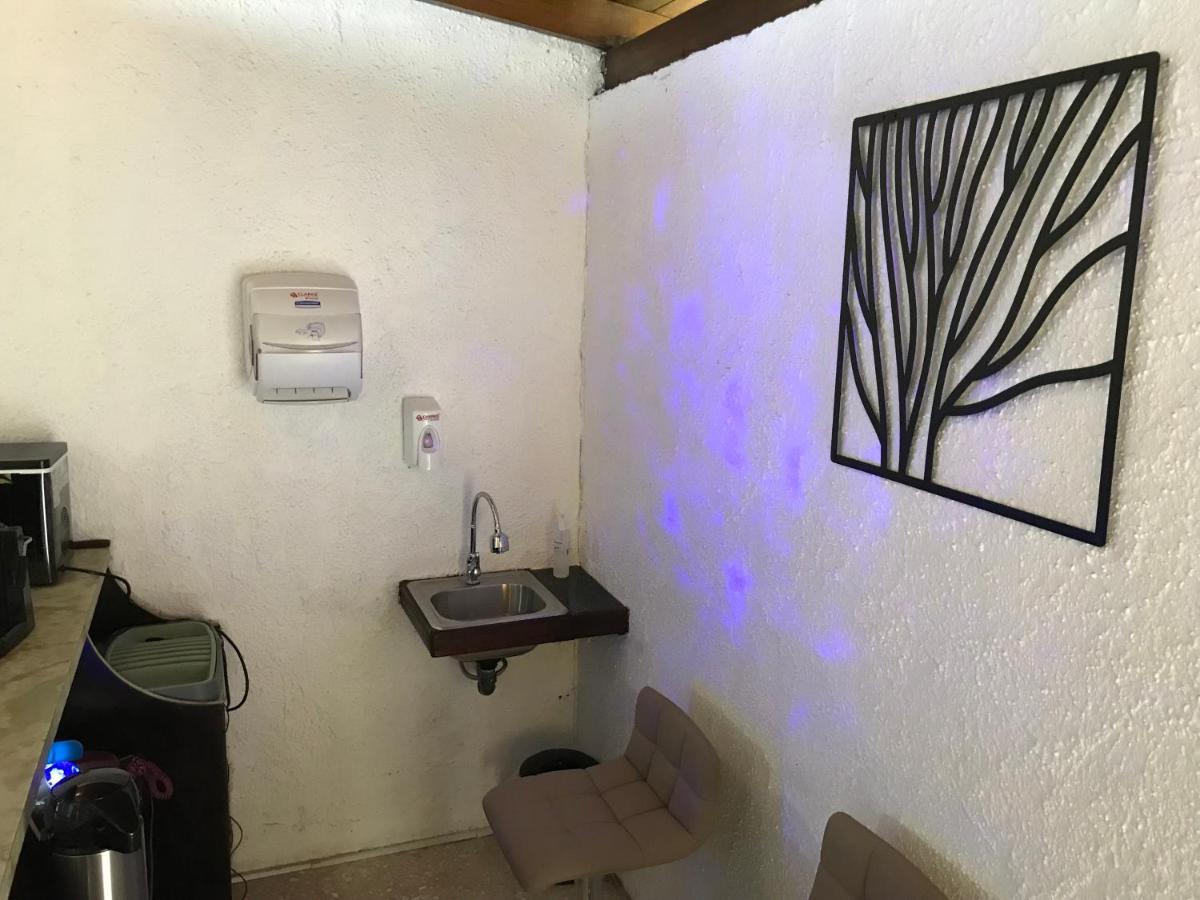 산호세 Corazon Sabana B&B 외부 사진